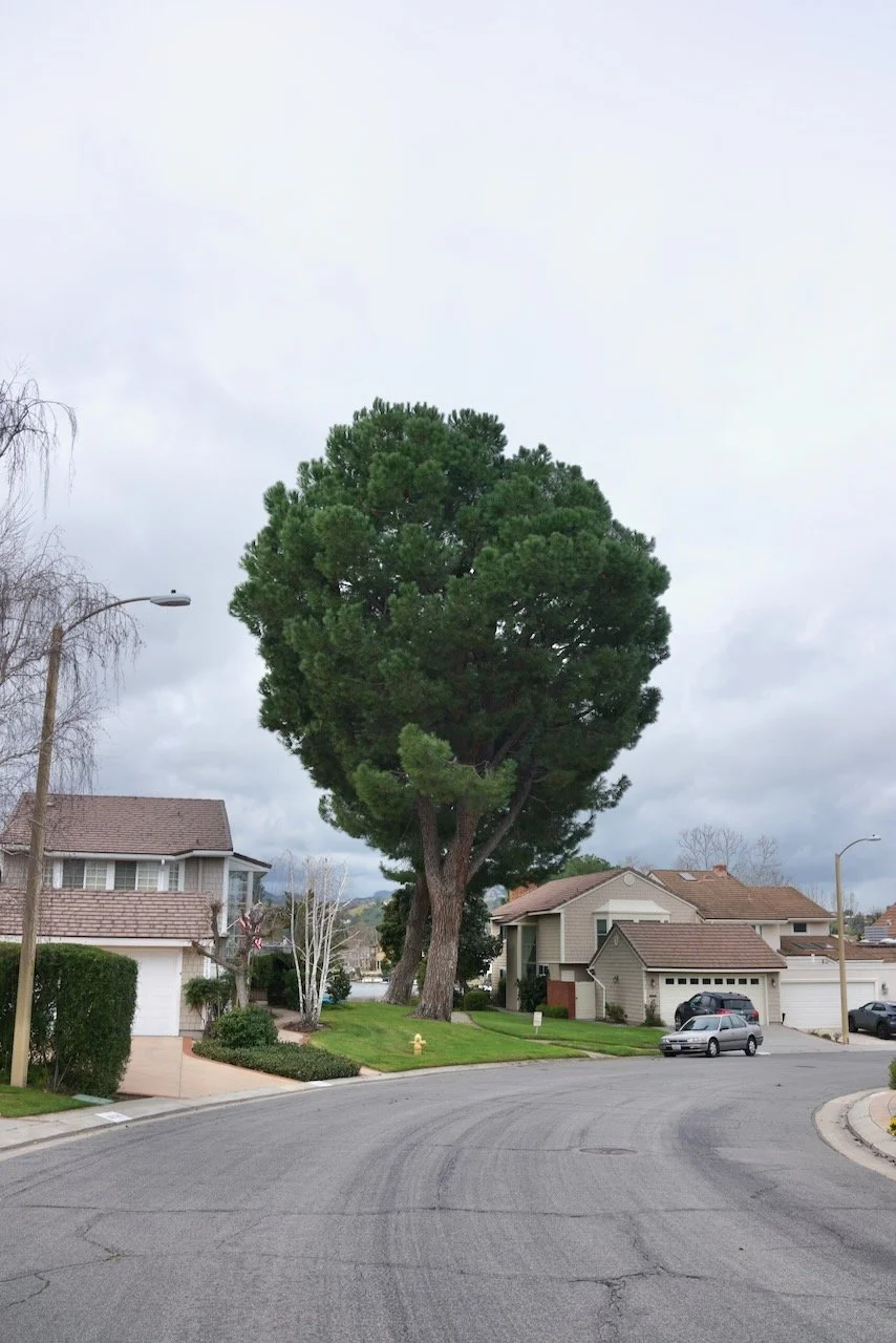  Equilibrium 2024:43 (2024) C-print on wood panel, 60”x40” 