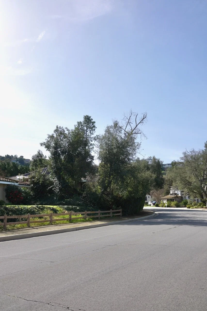  Equilibrium 2024:45 (2024) C-print on wood panel, 60”x40” 