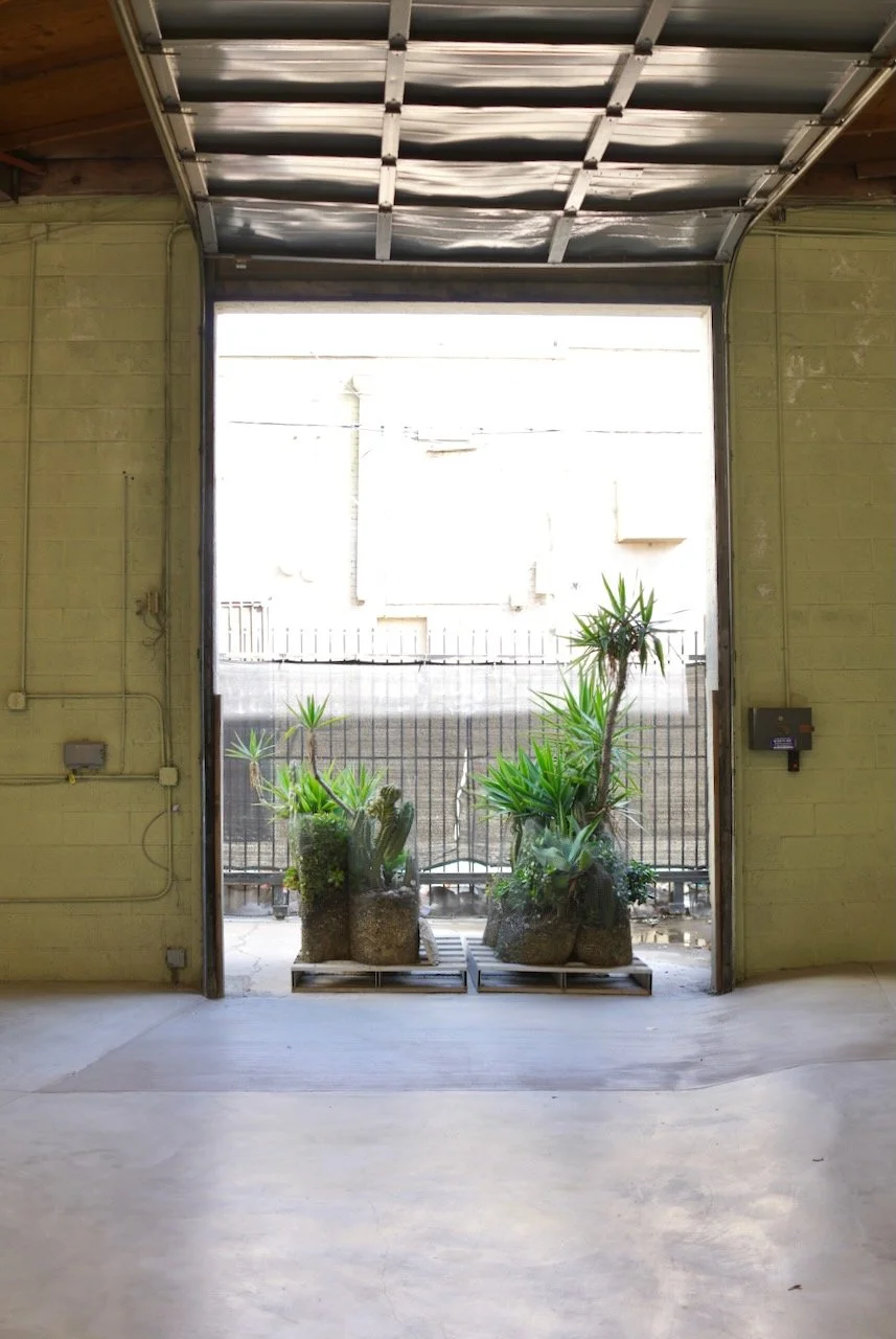  Equilibrium 2024:48 (2024) C-print on wood panel, 60”x40” 