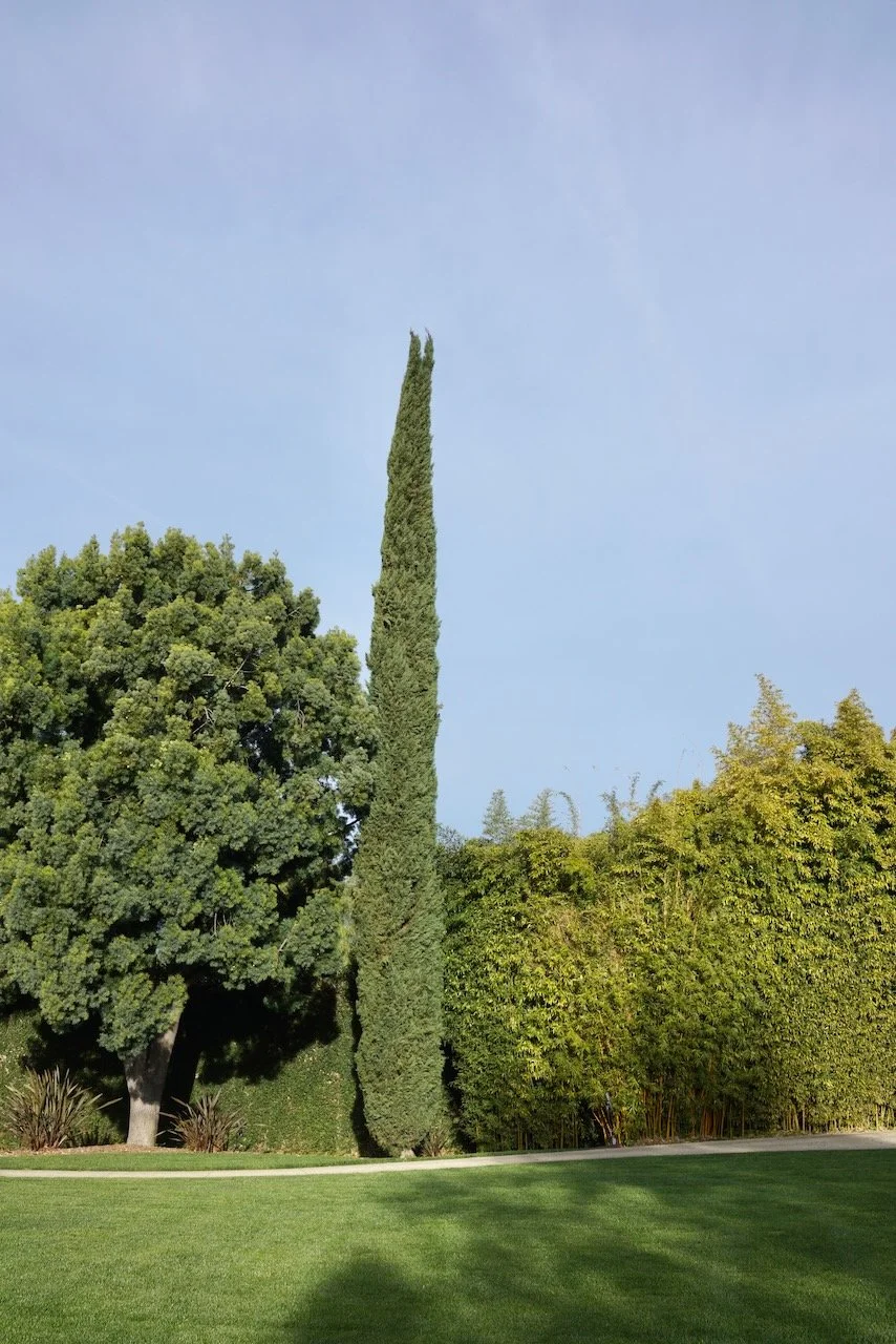  Equilibrium 2024:50 (2024) C-print on wood panel, 60”x40” 