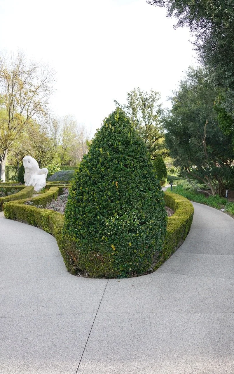  Equilibrium 2024:51 (2024) C-print on wood panel, 60”x40” 