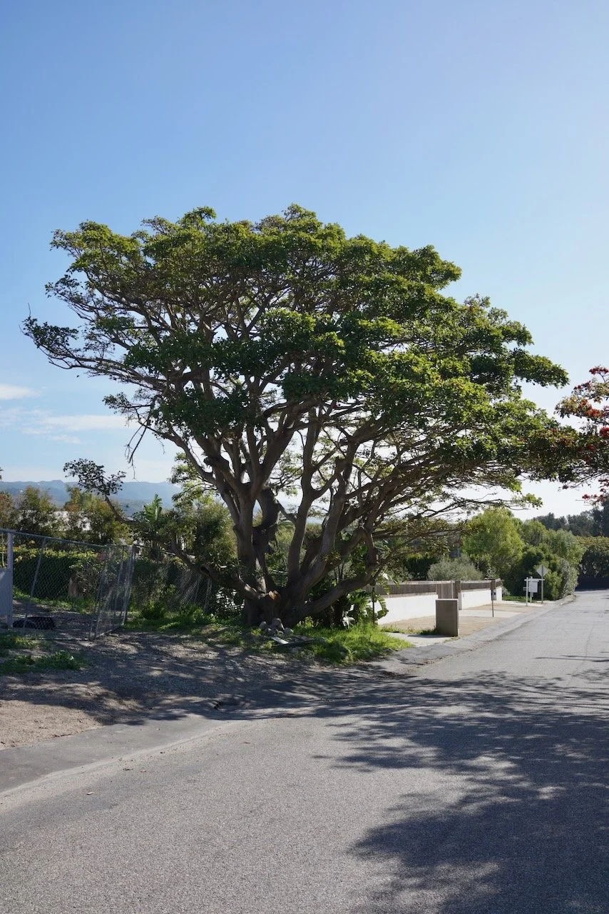  Equilibrium 2024:54 (2024) C-print on wood panel, 60”x40” 