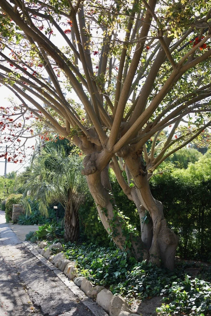  Equilibrium 2024:55 (2024) C-print on wood panel, 60”x40” 