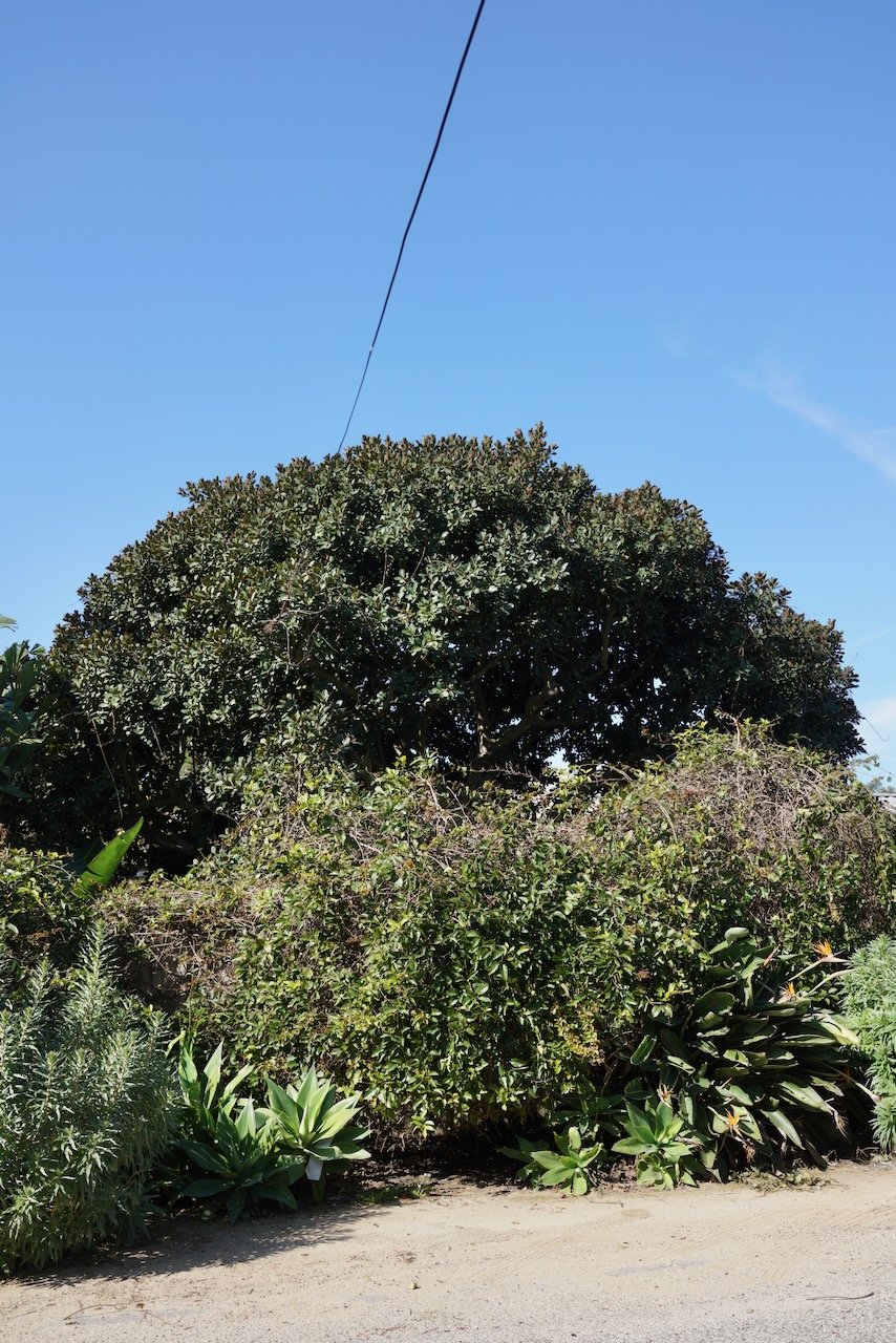  Equilibrium 2024:56 (2024) C-print on wood panel, 60”x40” 