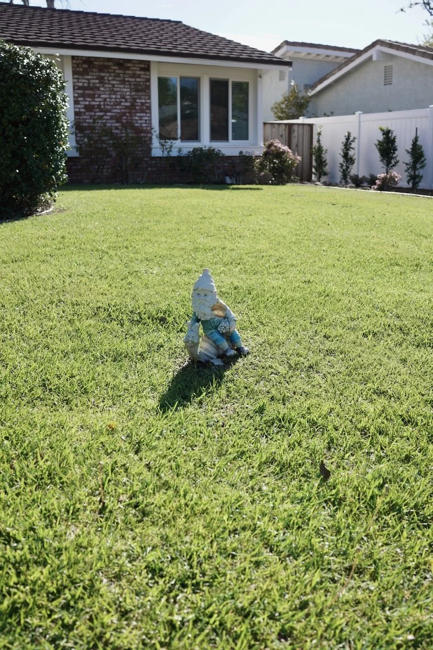  Equilibrium 2024:57 (2024) C-print on wood panel, 60”x40” 