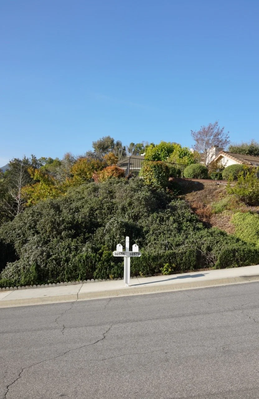  Equilibrium 2024:59 (2024) C-print on wood panel, 60”x40” 