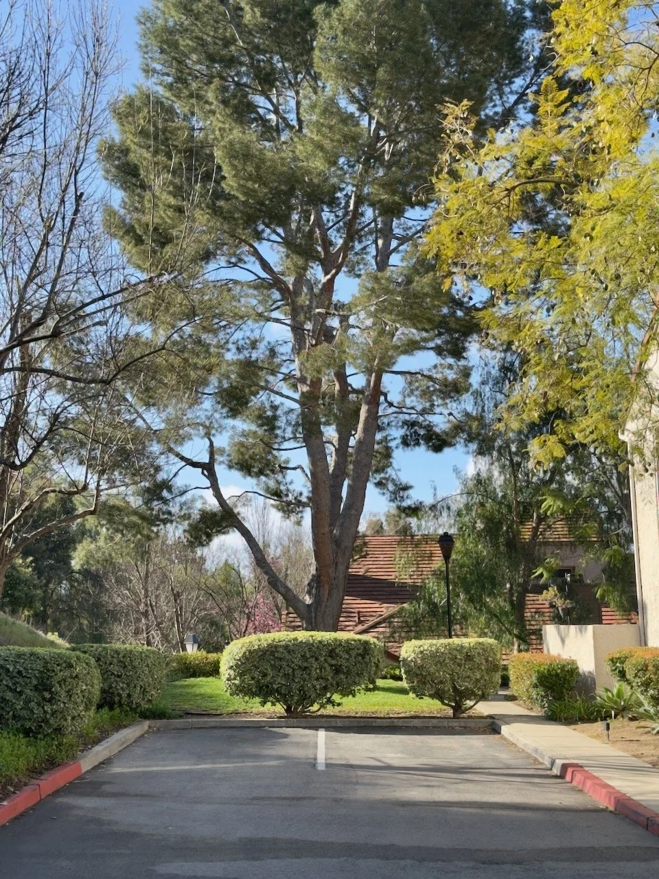  Equilibrium 2024:58 (2024) C-print on wood panel, 60”x40” 