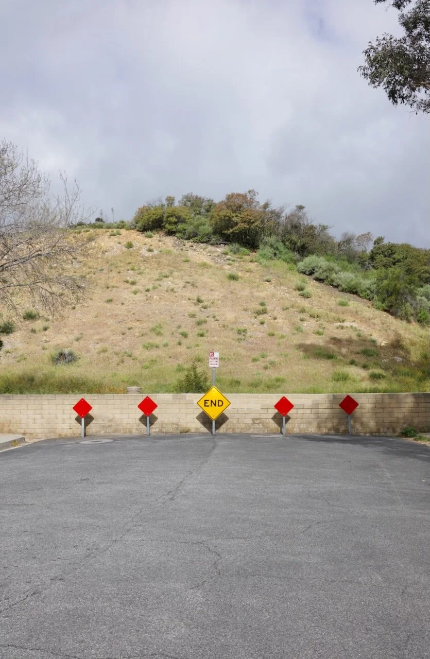  Equilibrium 2024:62 (2024) C-print on wood panel, 60”x40” 