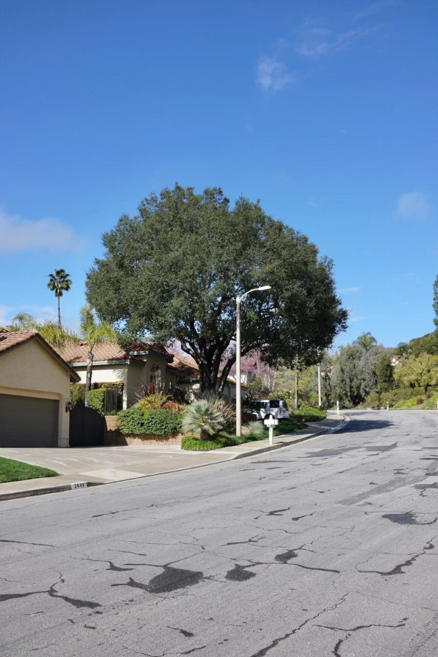  Equilibrium 2024:63 (2024) C-print on wood panel, 60”x40” 