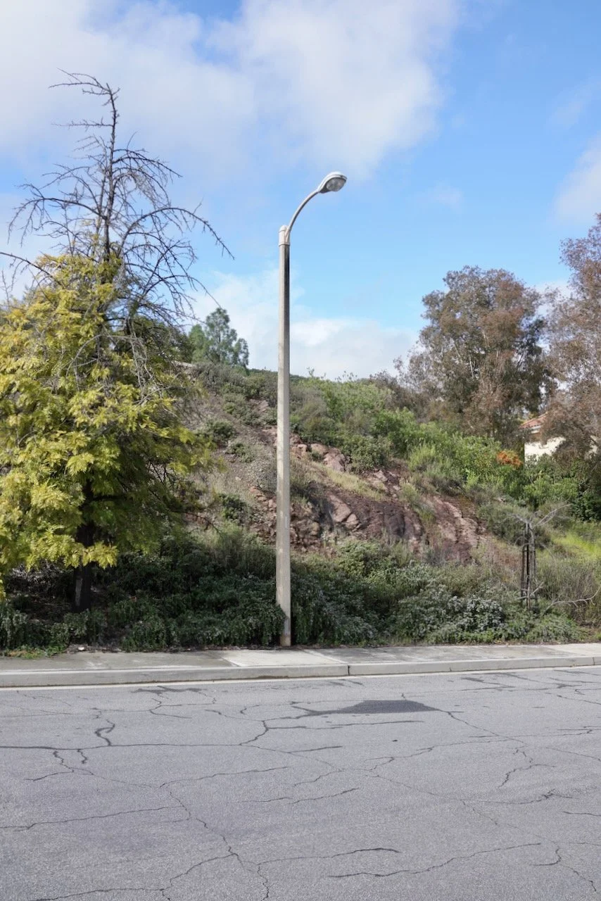  Equilibrium 2024:64 (2024) C-print on wood panel, 60”x40” 