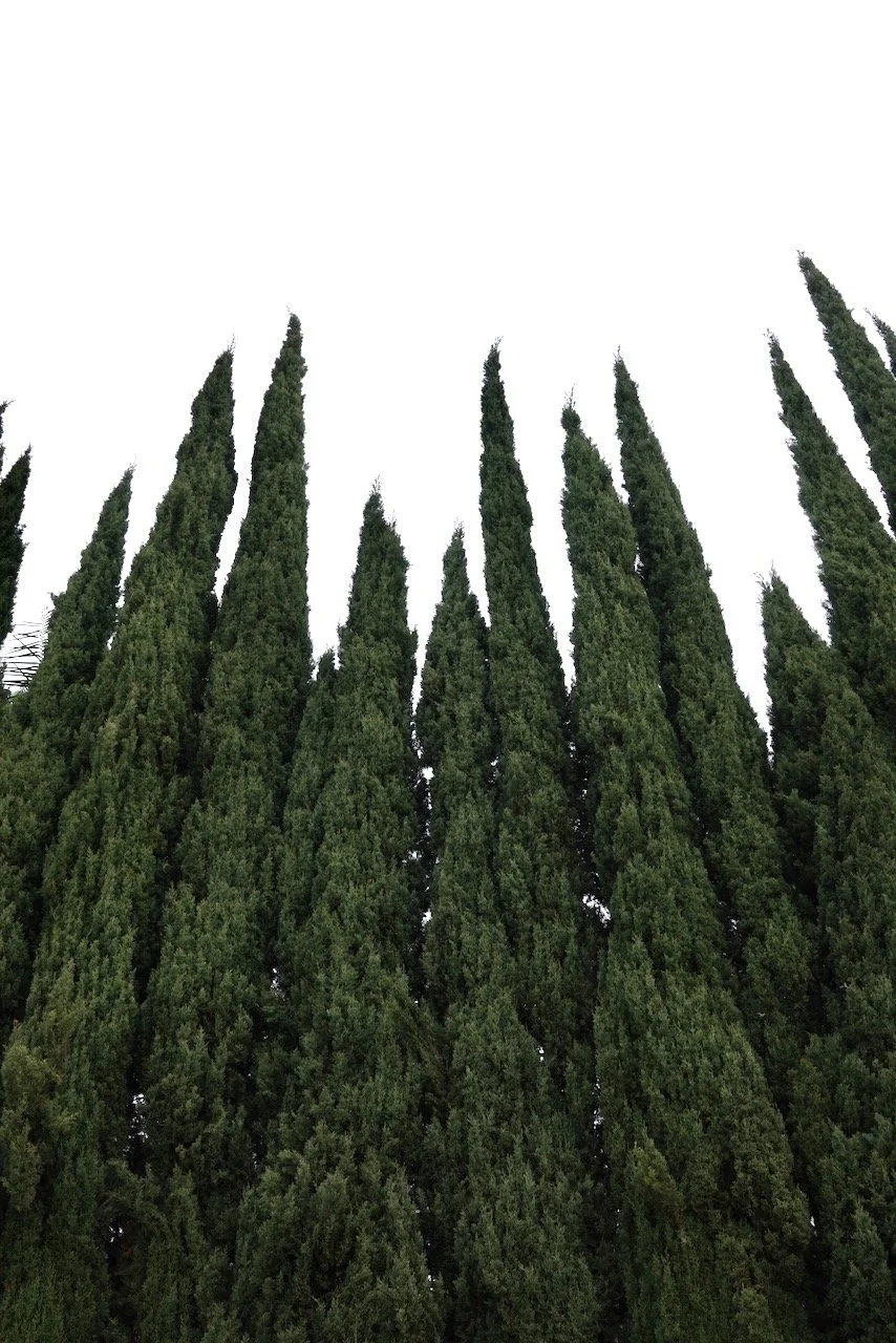  Shapes 2024:3v (2024) C-print on wood panel, 60”x40” 