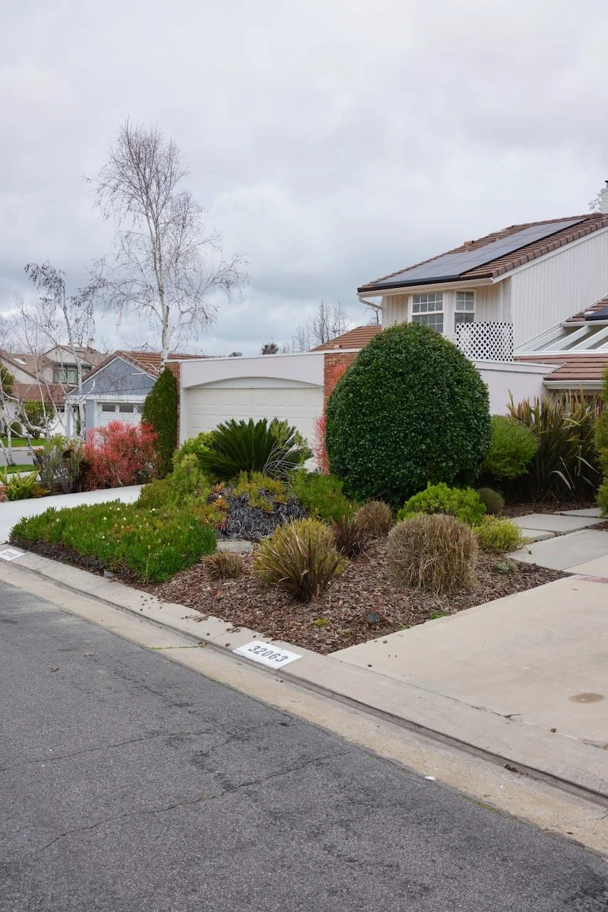  Shapes 2024:9 (2024) C-print on wood panel, 60”x40” 