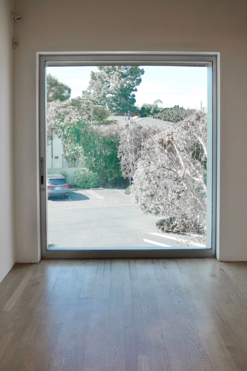  Shapes 2024:12 (2024) C-print on wood panel, 60”x40” 