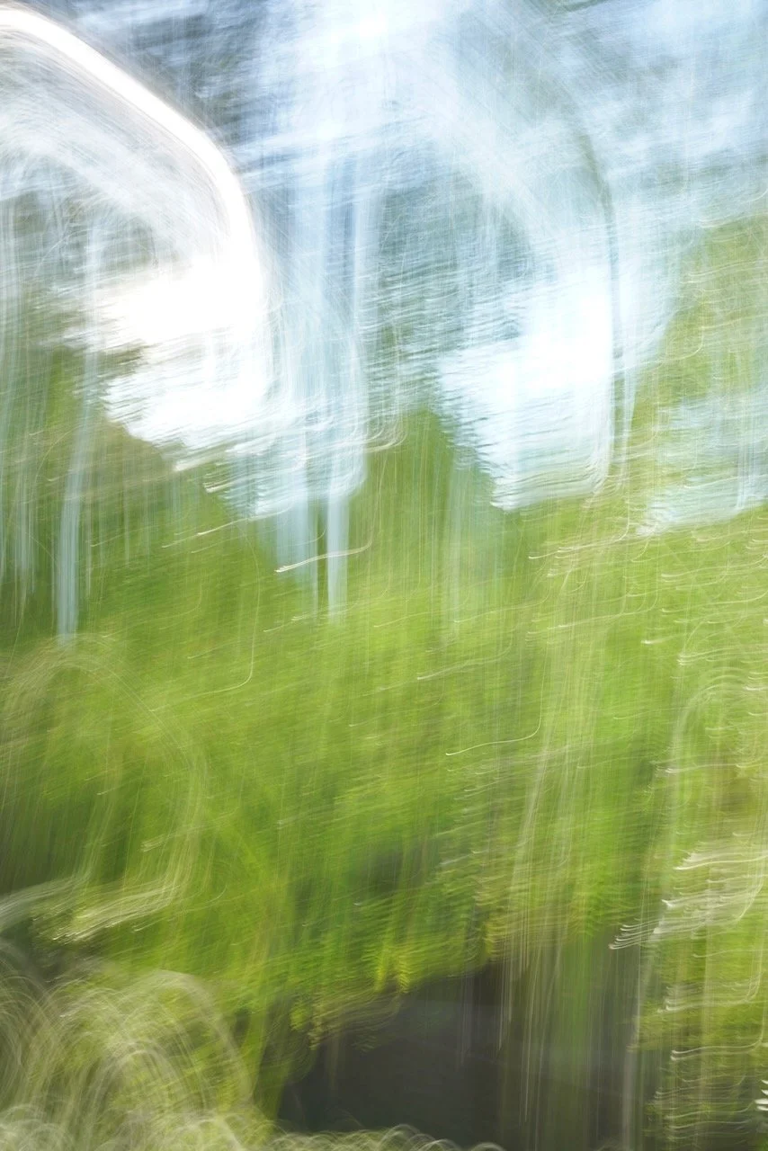  Movement 2024:2 (2024) C-print on wood panel, 60”x40” 