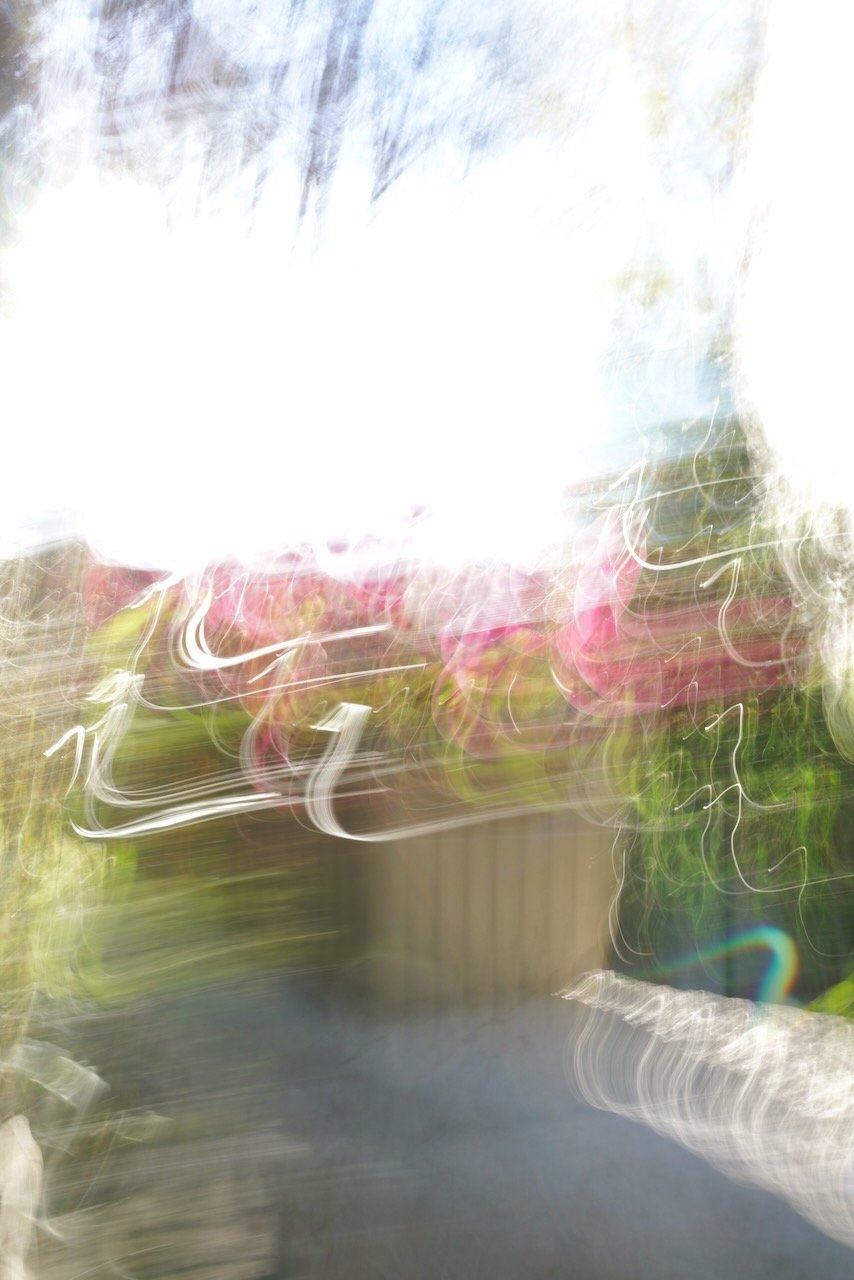  Movement 2024:3 (2024) C-print on wood panel, 60”x40” 