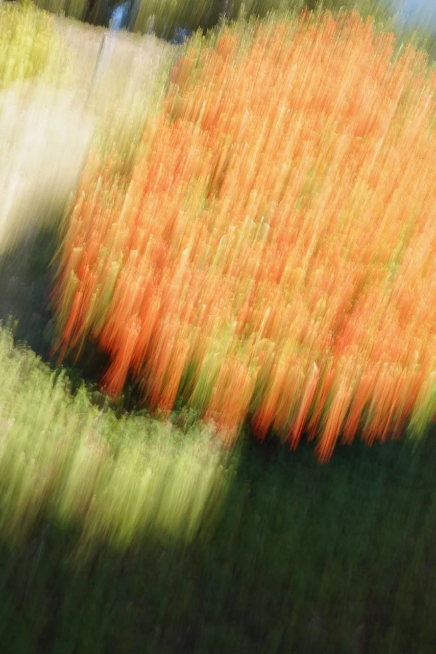  Movement 2024:5 (2024) C-print on wood panel, 60”x40” 