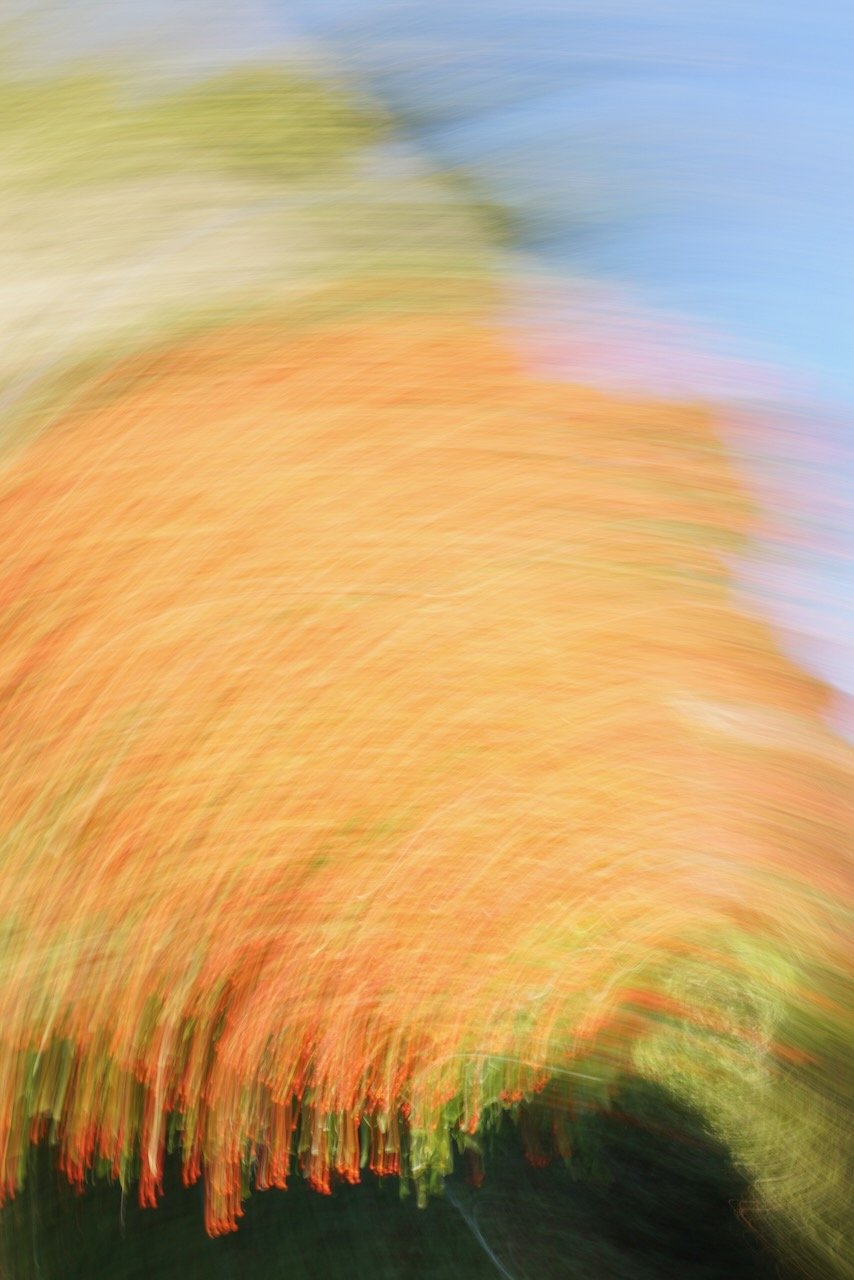  Movement 2024:6 (2024) C-print on wood panel, 60”x40” 