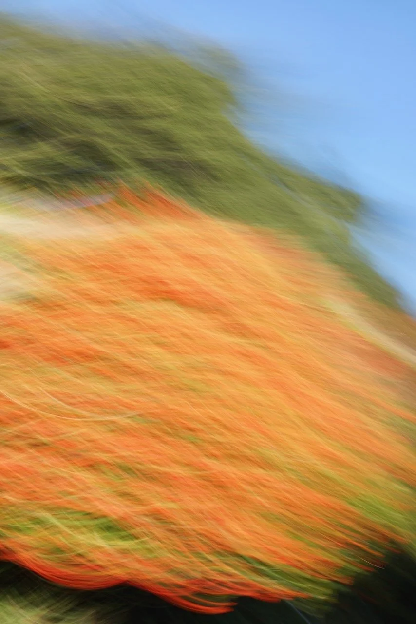  Movement 2024:7 (2024) C-print on wood panel, 60”x40” 