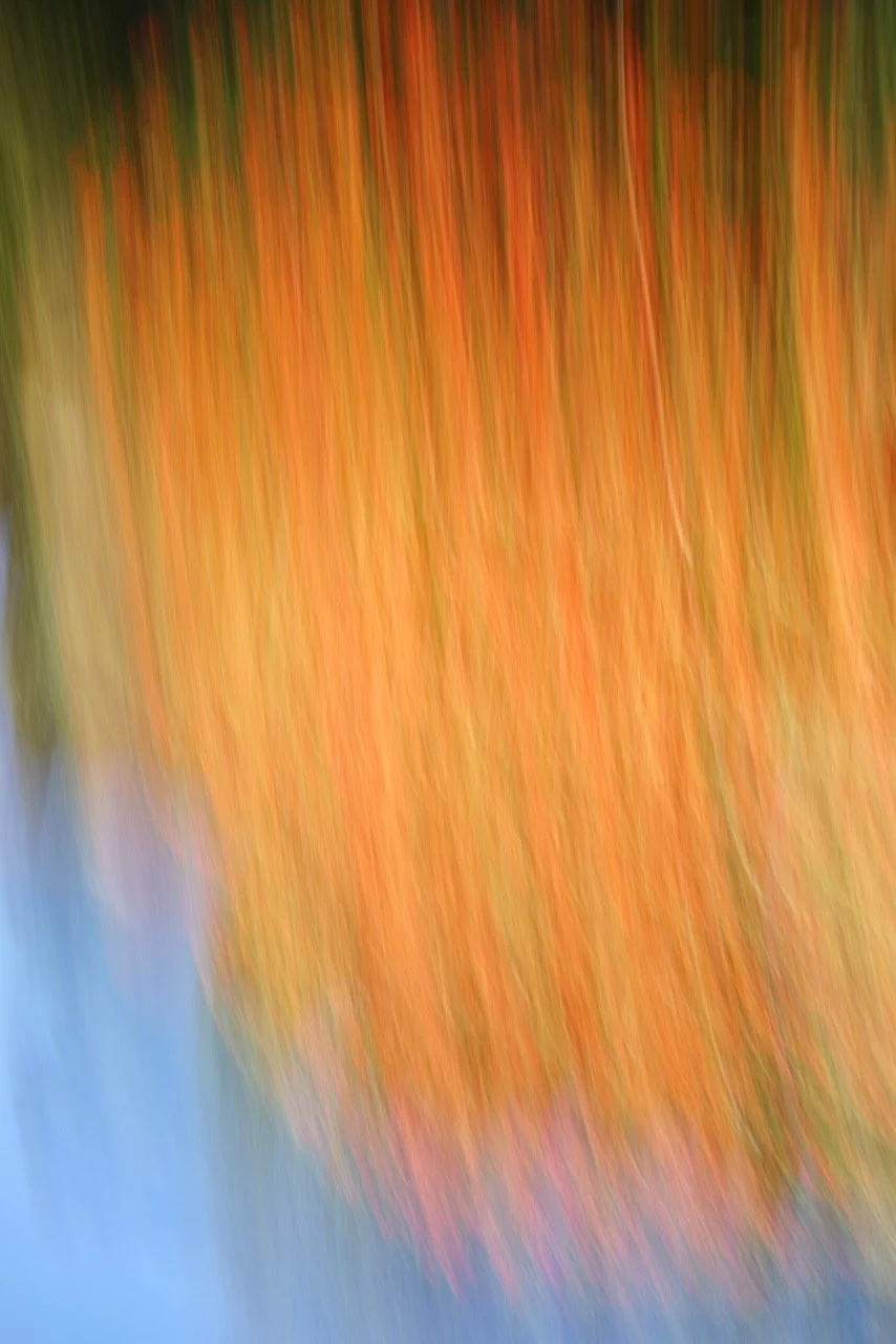  Movement 2024:8 (2024) C-print on wood panel, 60”x40” 