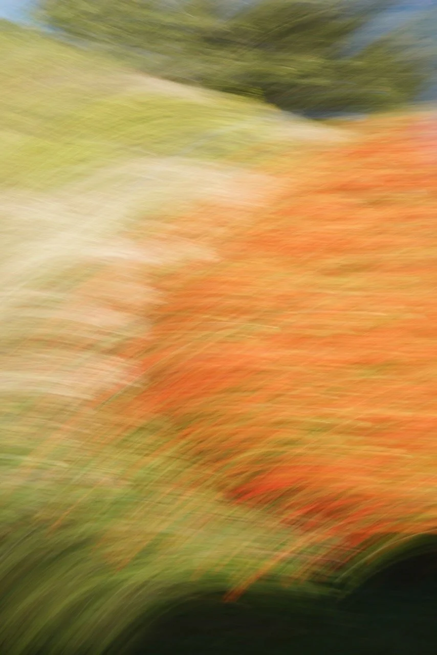  Movement 2024:9 (2024) C-print on wood panel, 60”x40” 