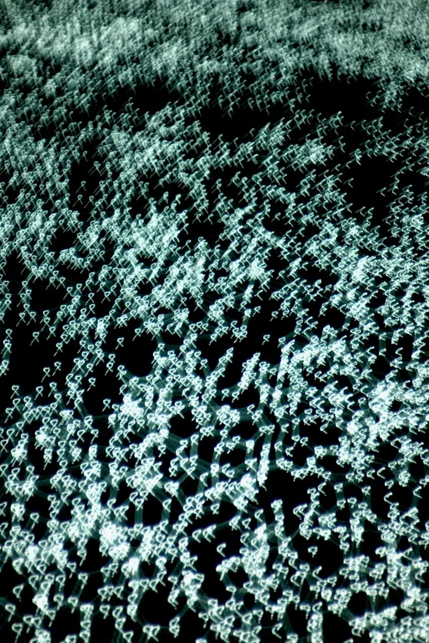  Movement 2024:50 (2024) C-print on wood panel, 60”x40” 