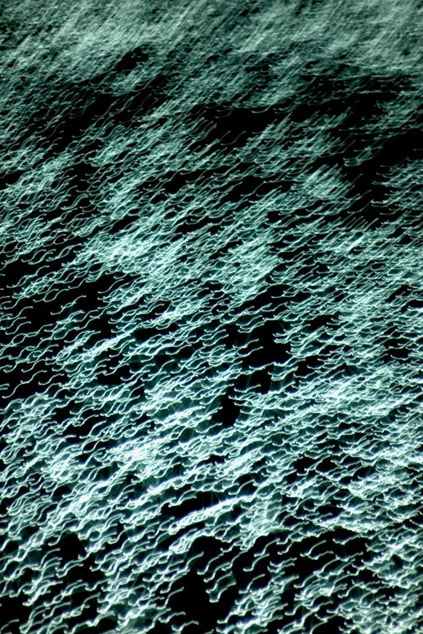  Movement 2024:51 (2024) C-print on wood panel, 60”x40” 