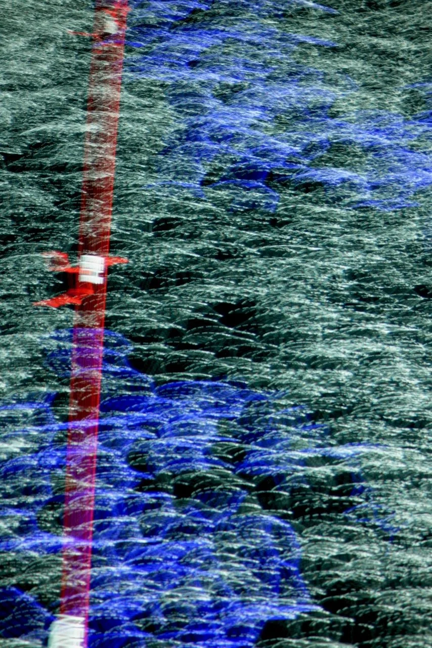  Movement 2024:52 (2024) C-print on wood panel, 60”x40” 