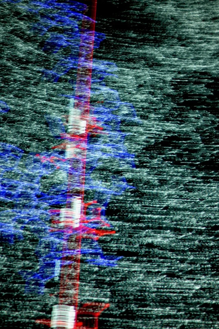  Movement 2024:53 (2024) C-print on wood panel, 60”x40” 