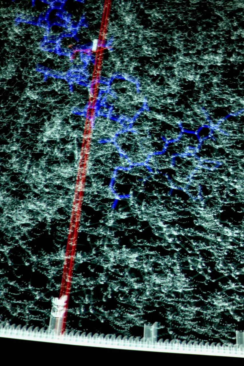  Movement 2024:54 (2024) C-print on wood panel, 60”x40” 