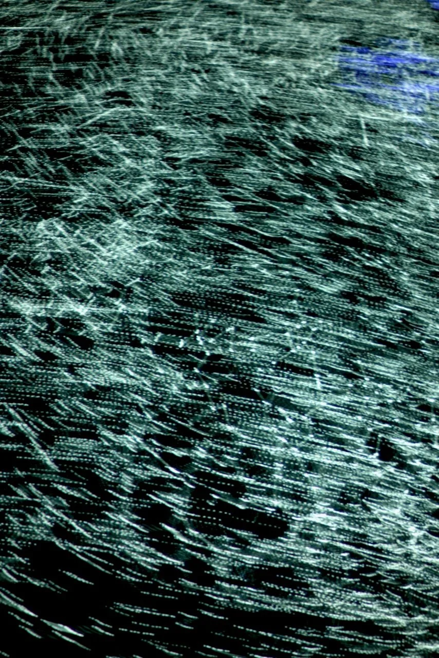  Movement 2024:58 (2024) C-print on wood panel, 60”x40” 