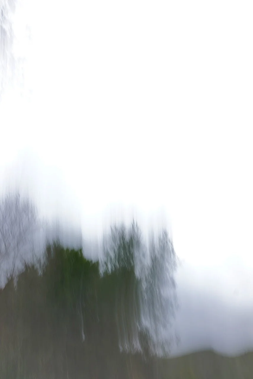  Movement 2024:69 (2024) C-print on wood panel, 60”x40” 