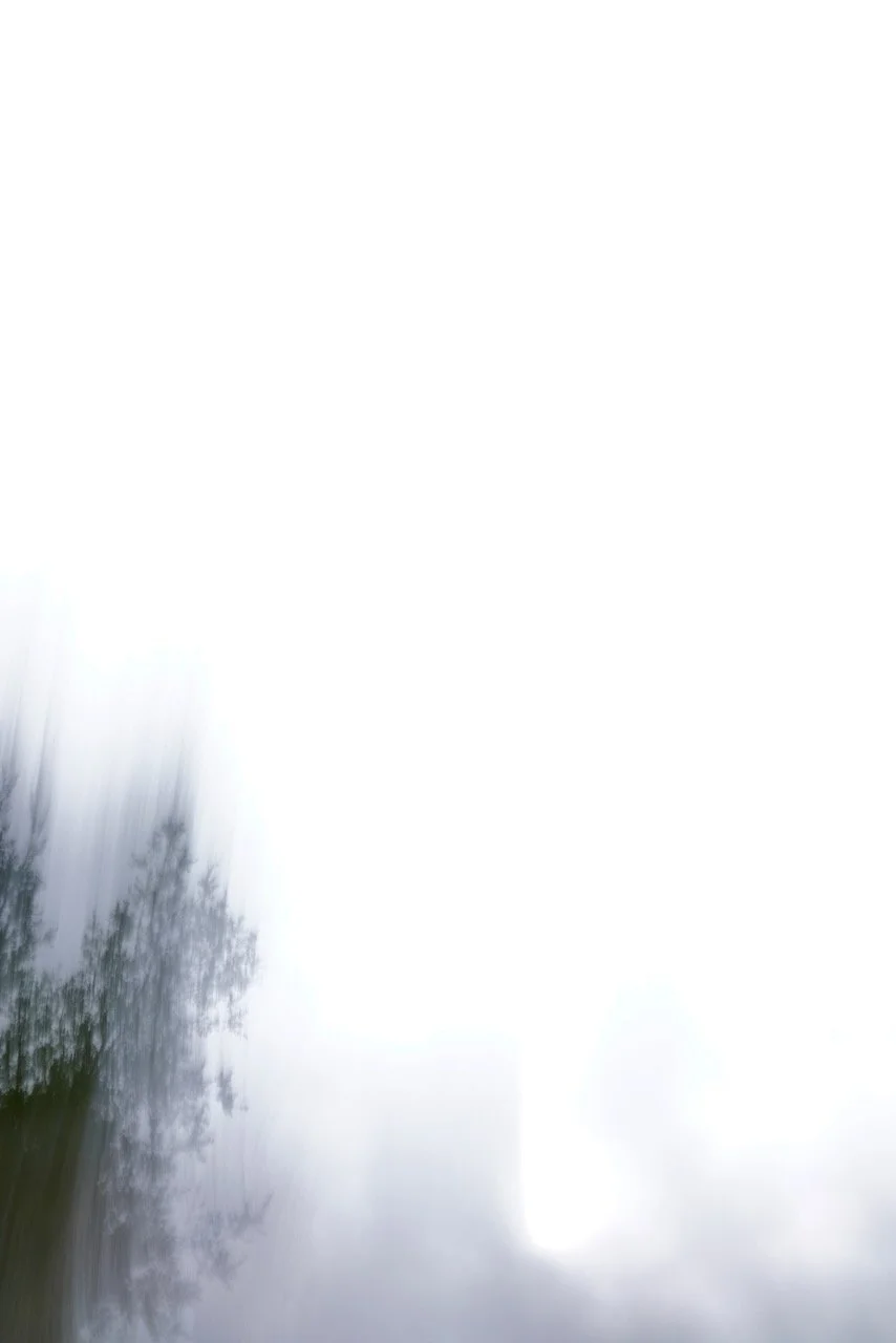  Movement 2024:70 (2024) C-print on wood panel, 60”x40” 