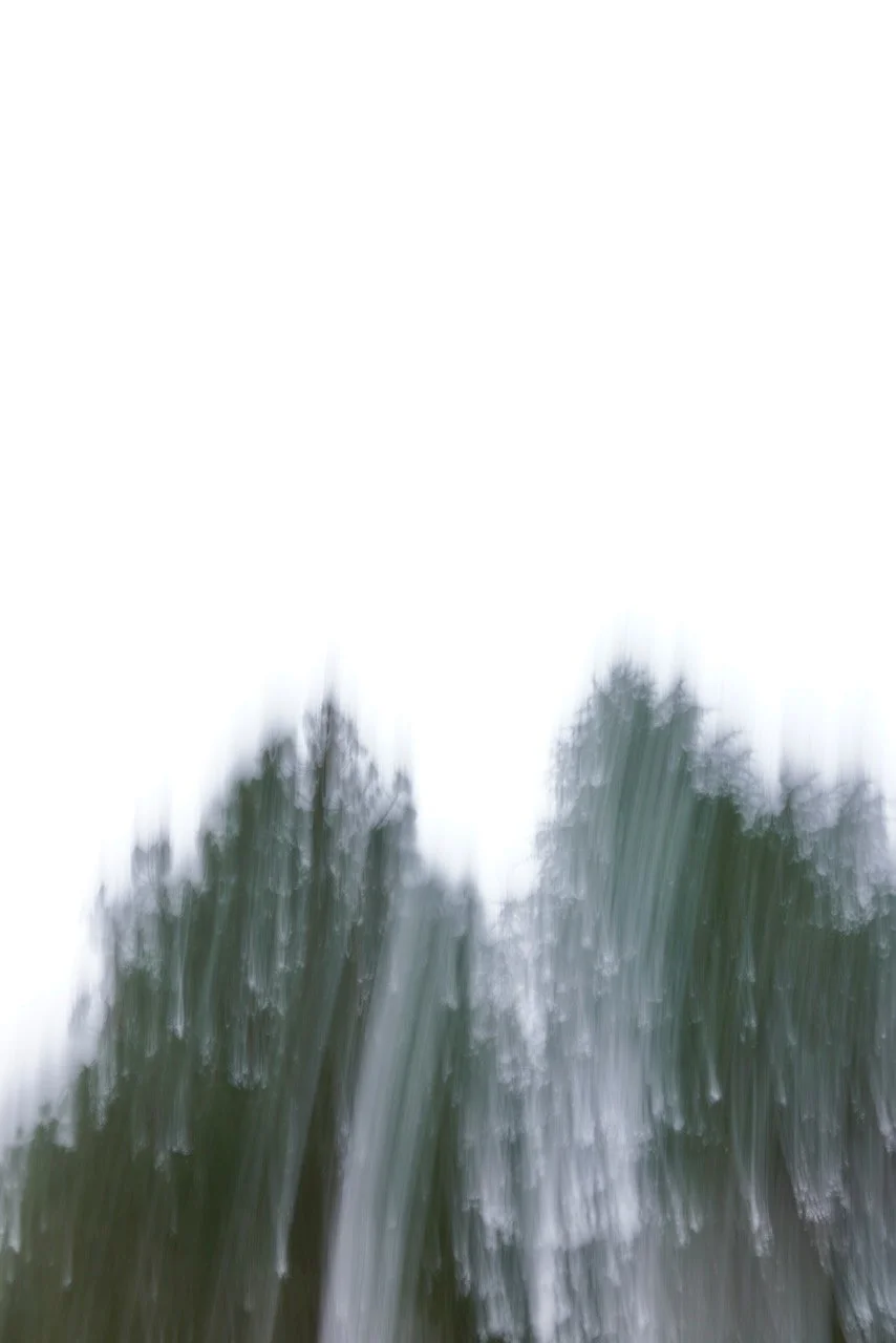  Movement 2024:71 (2024) C-print on wood panel, 60”x40” 