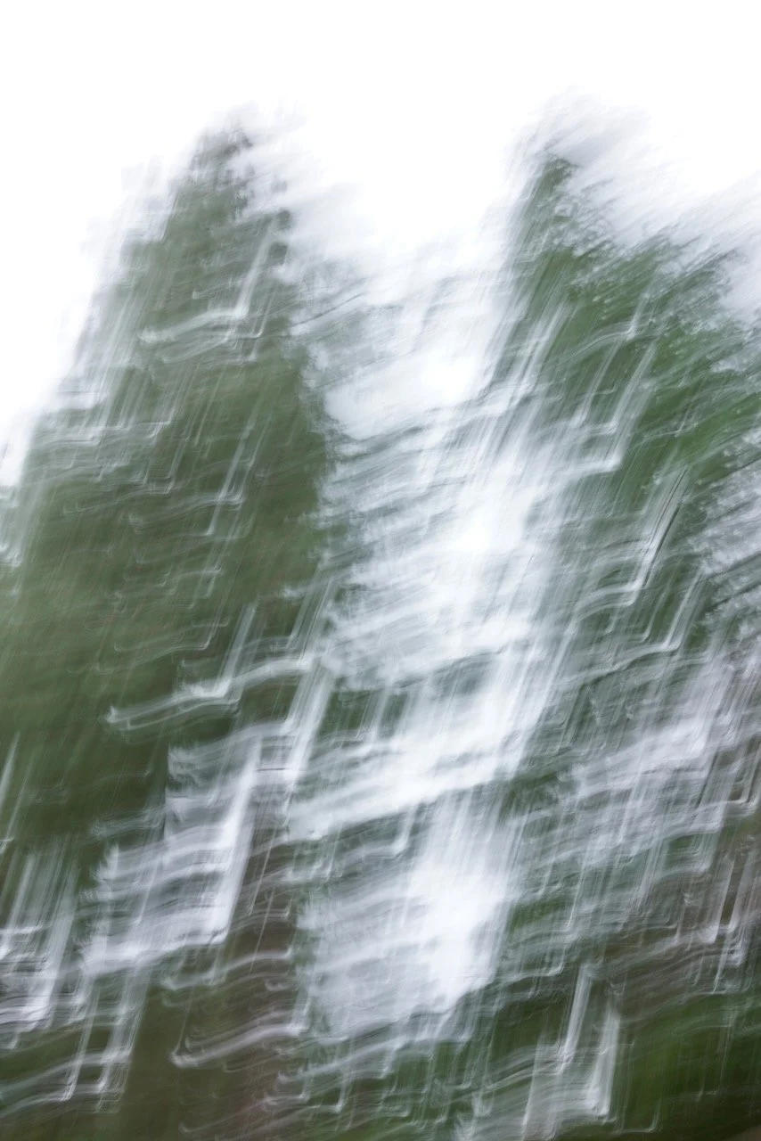  Movement 2024:72 (2024) C-print on wood panel, 60”x40” 