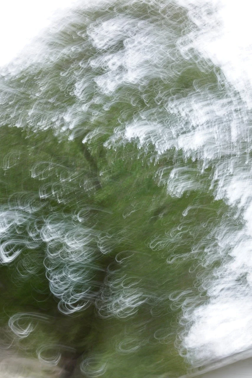  Movement 2024:74 (2024) C-print on wood panel, 60”x40” 