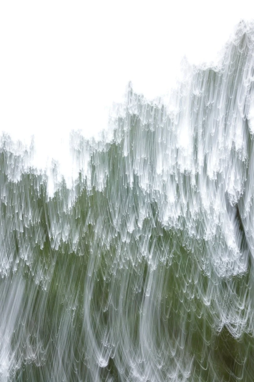  Movement 2024:76 (2024) C-print on wood panel, 60”x40” 