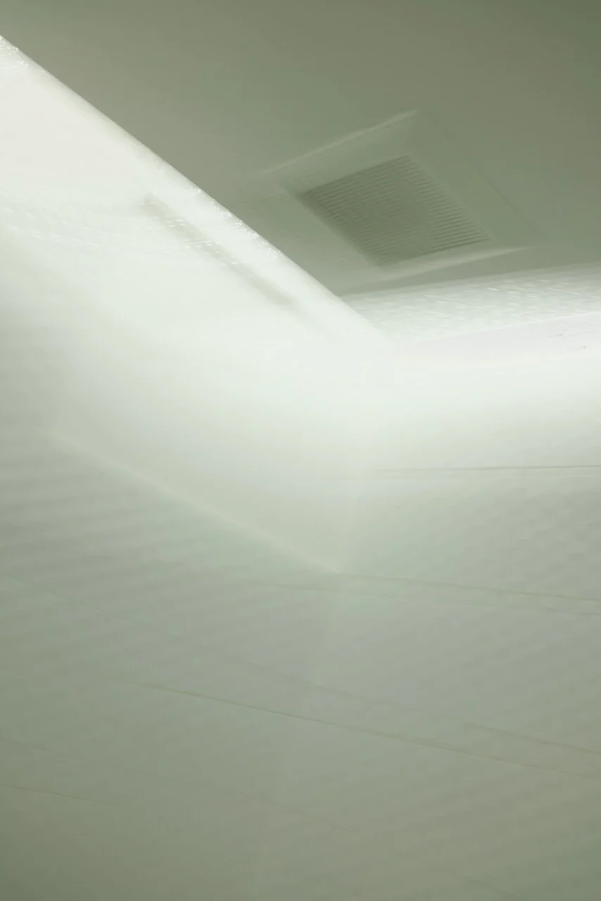  Movement 2024:77 (2024) C-print on wood panel, 60”x40” 