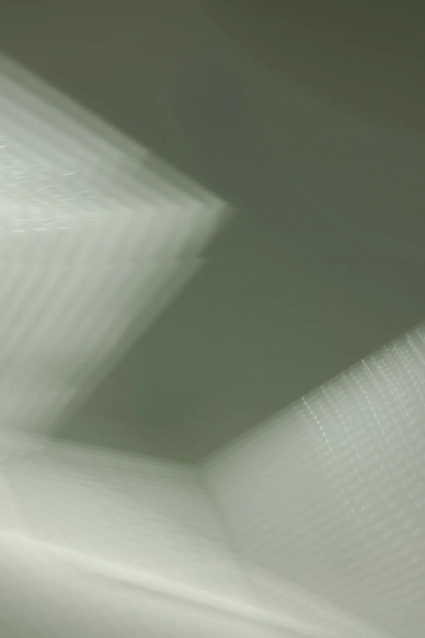  Movement 2024:79 (2024) C-print on wood panel, 60”x40” 