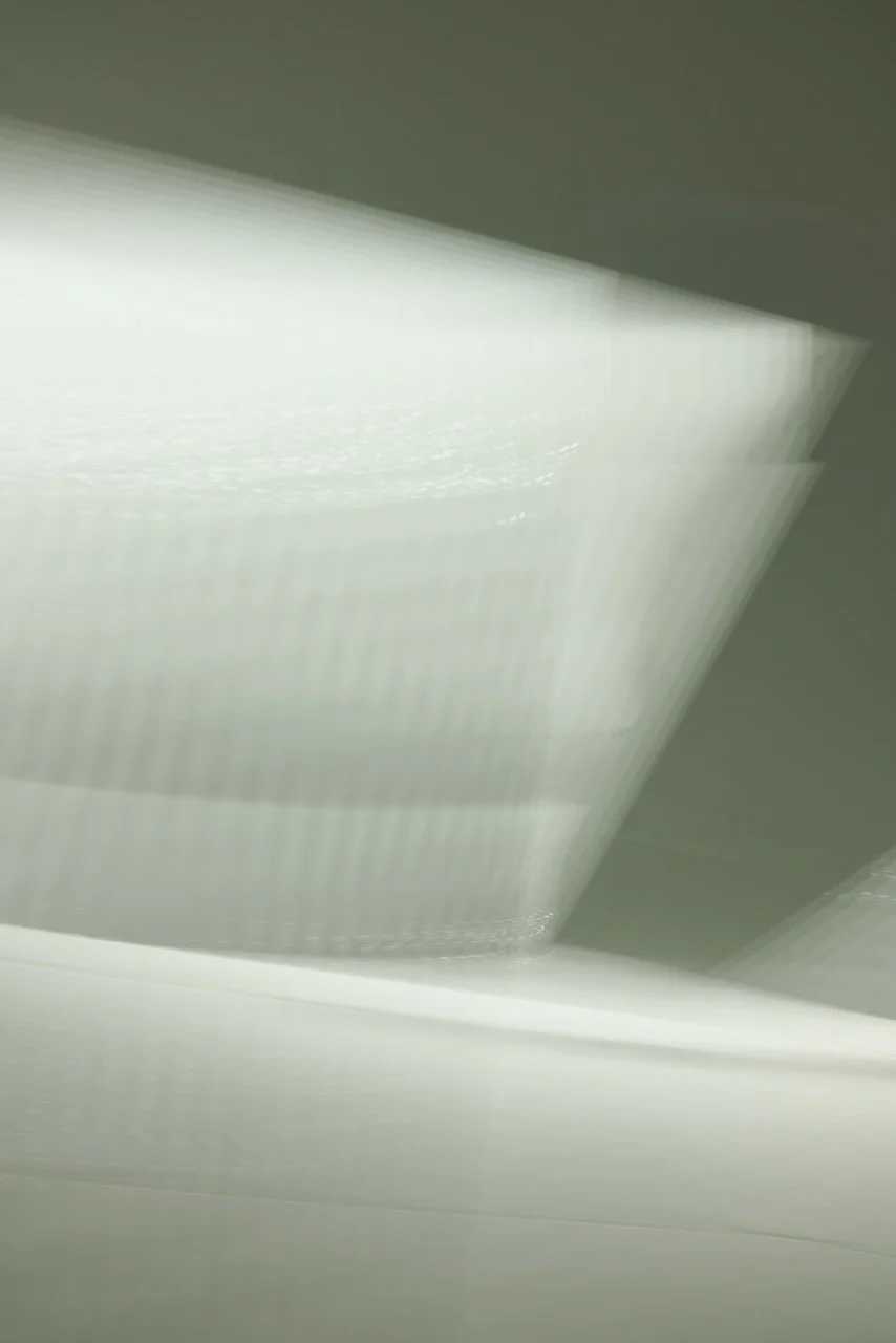  Movement 2024:80 (2024) C-print on wood panel, 60”x40” 