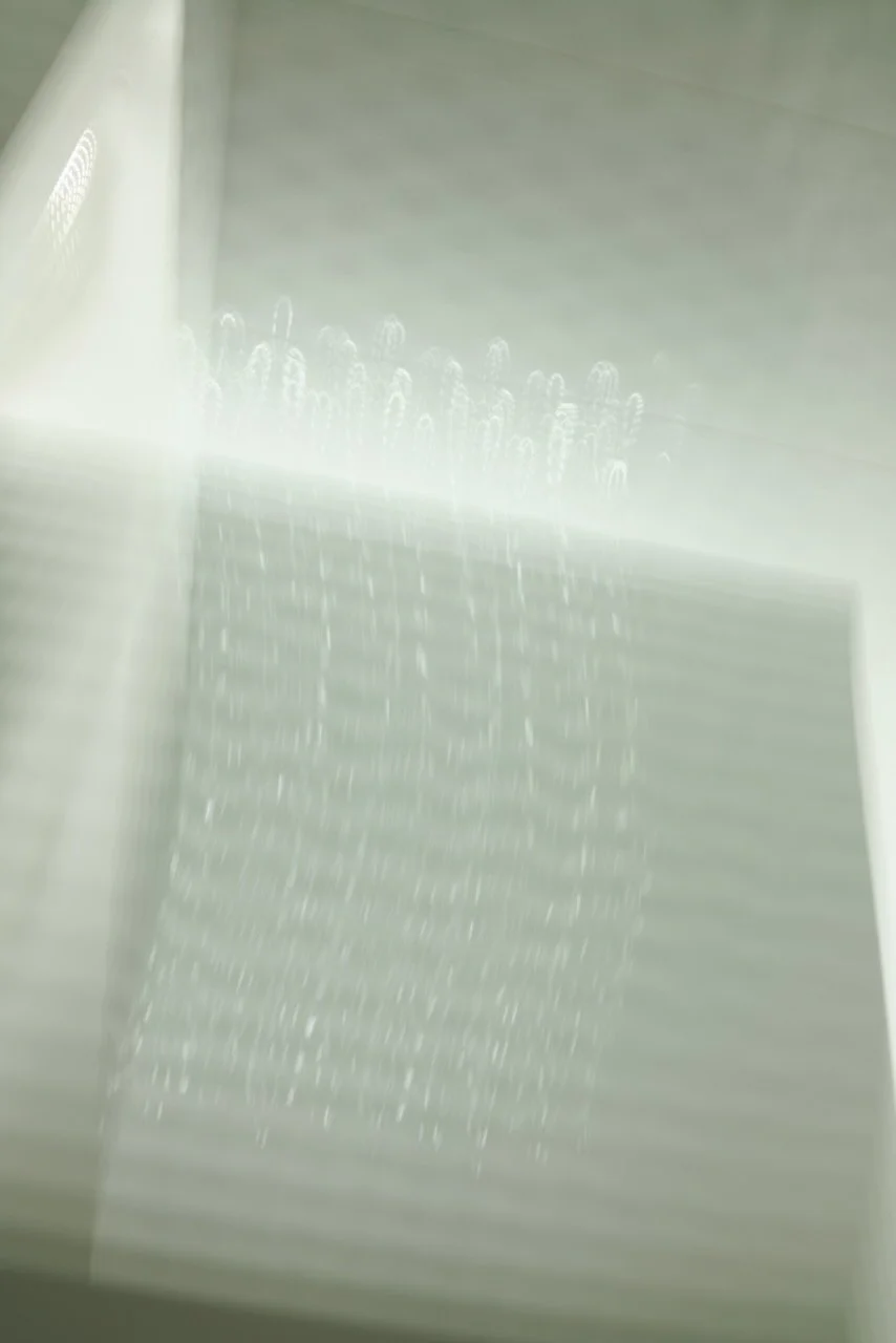  Movement 2024:81 (2024) C-print on wood panel, 60”x40” 