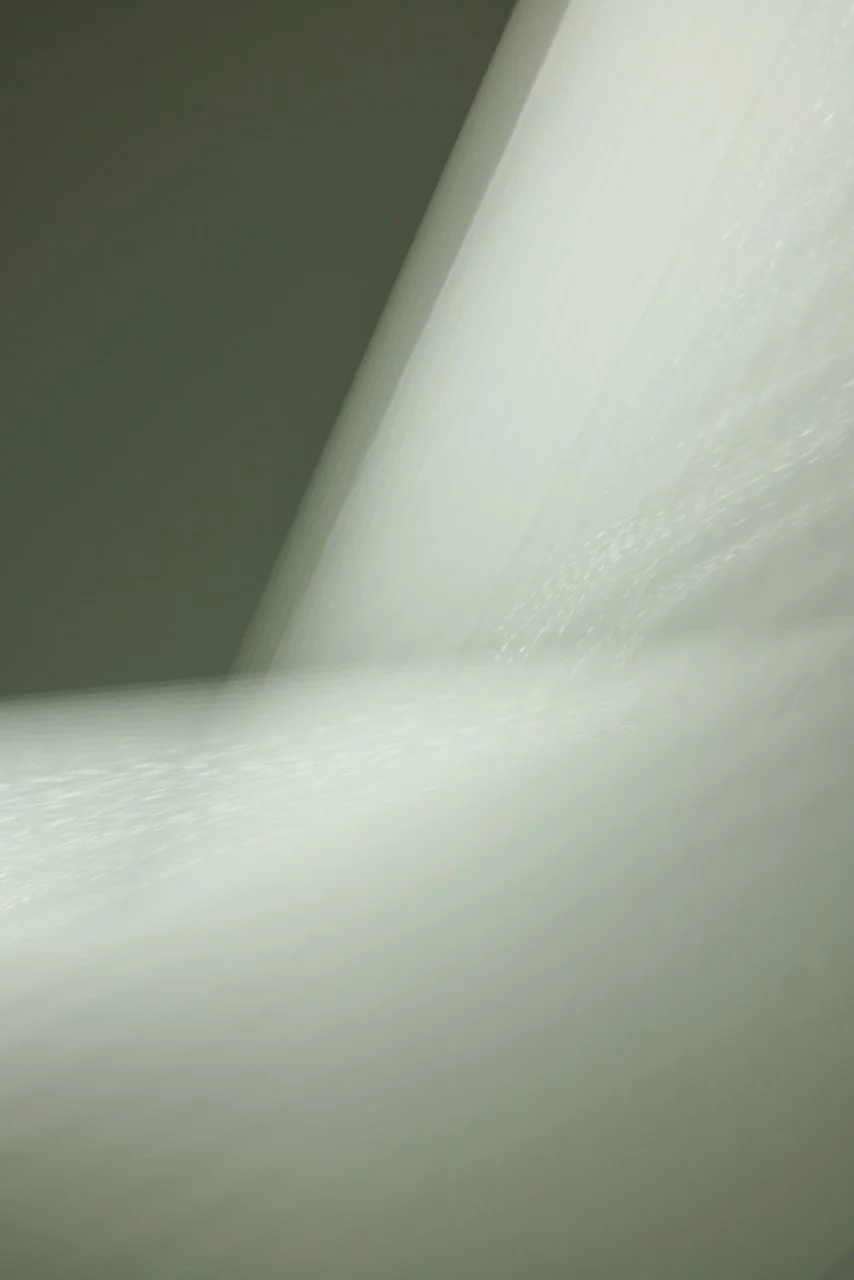  Movement 2024:86 (2024) C-print on wood panel, 60”x40” 