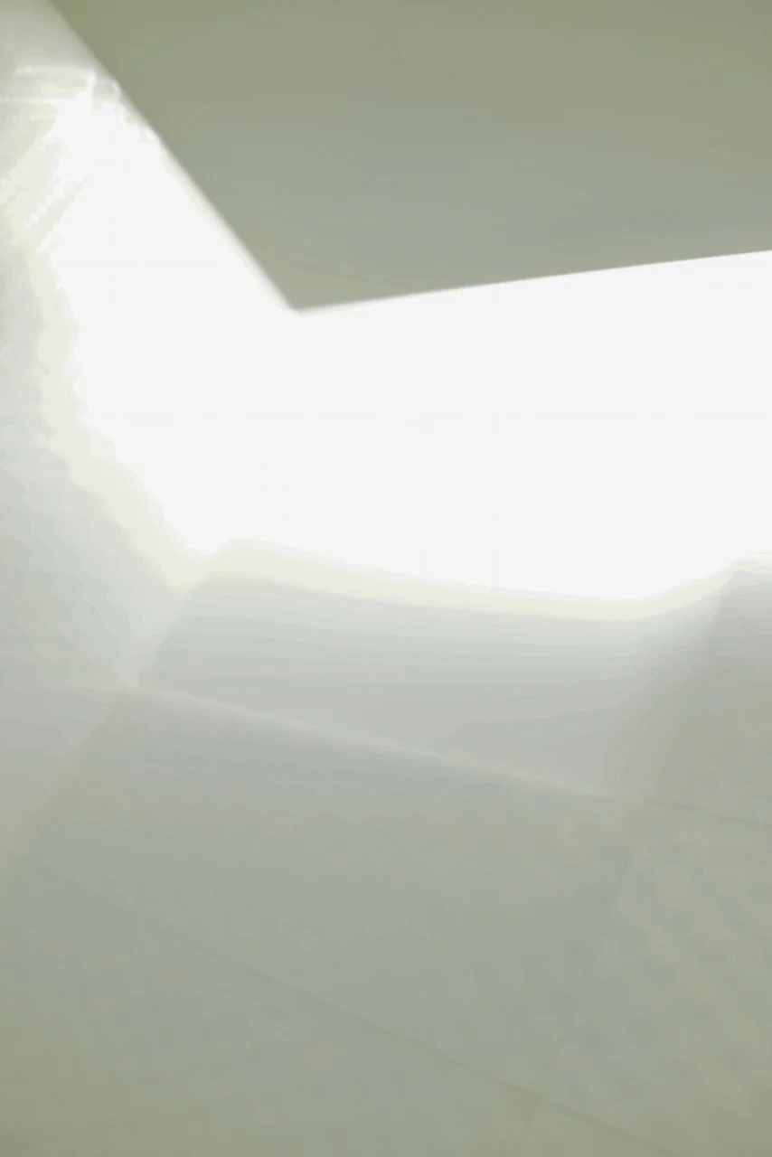  Movement 2024:88 (2024) C-print on wood panel, 60”x40” 