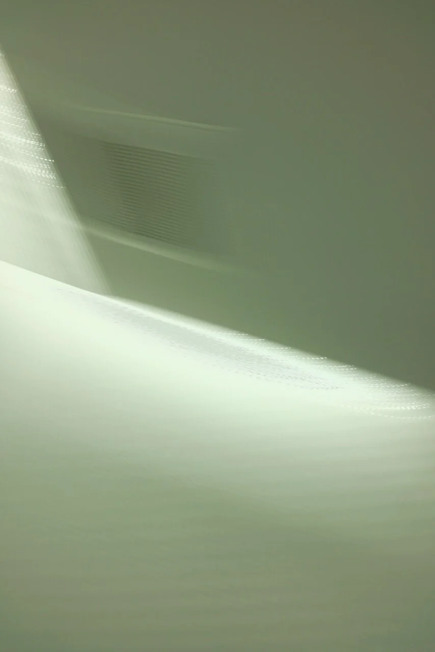  Movement 2024:90 (2024) C-print on wood panel, 60”x40” 