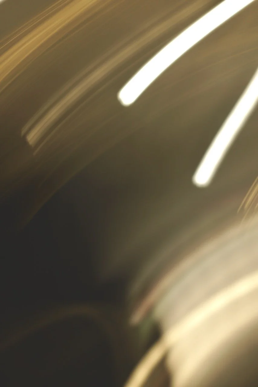  Movement 2024:98 (2024) C-print on wood panel, 60”x40” 