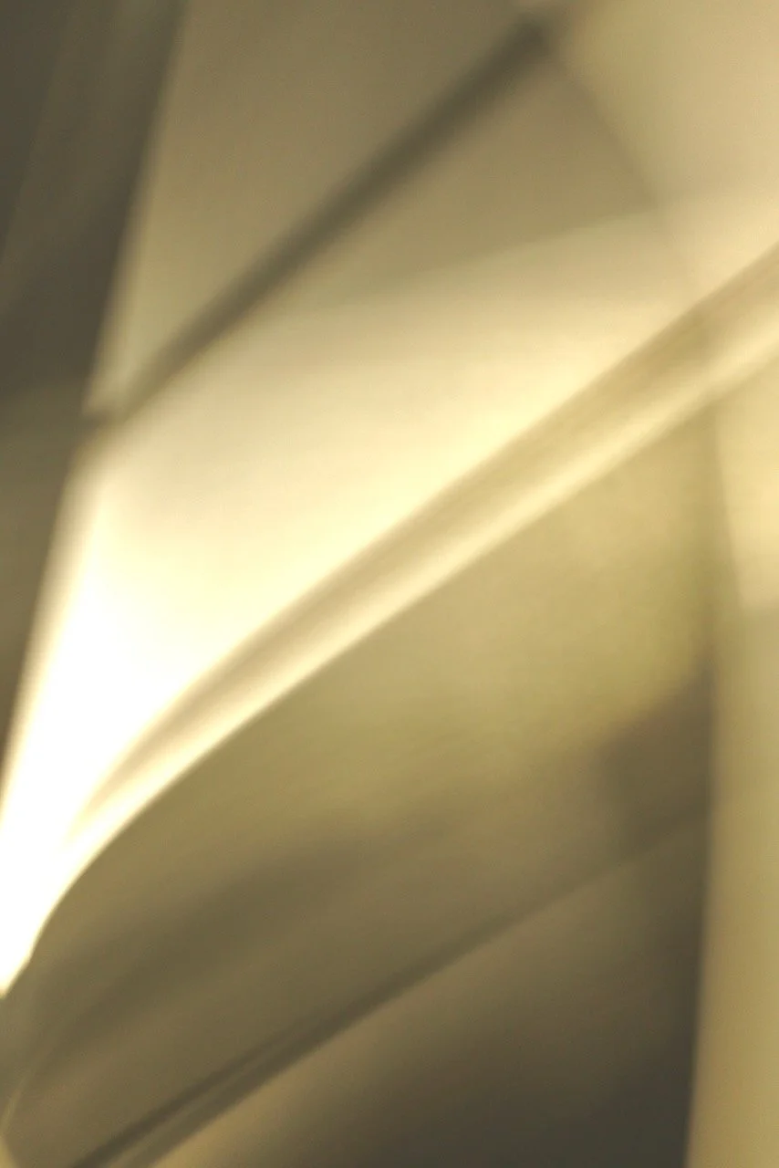  Movement 2024:102 (2024) C-print on wood panel, 60”x40” 