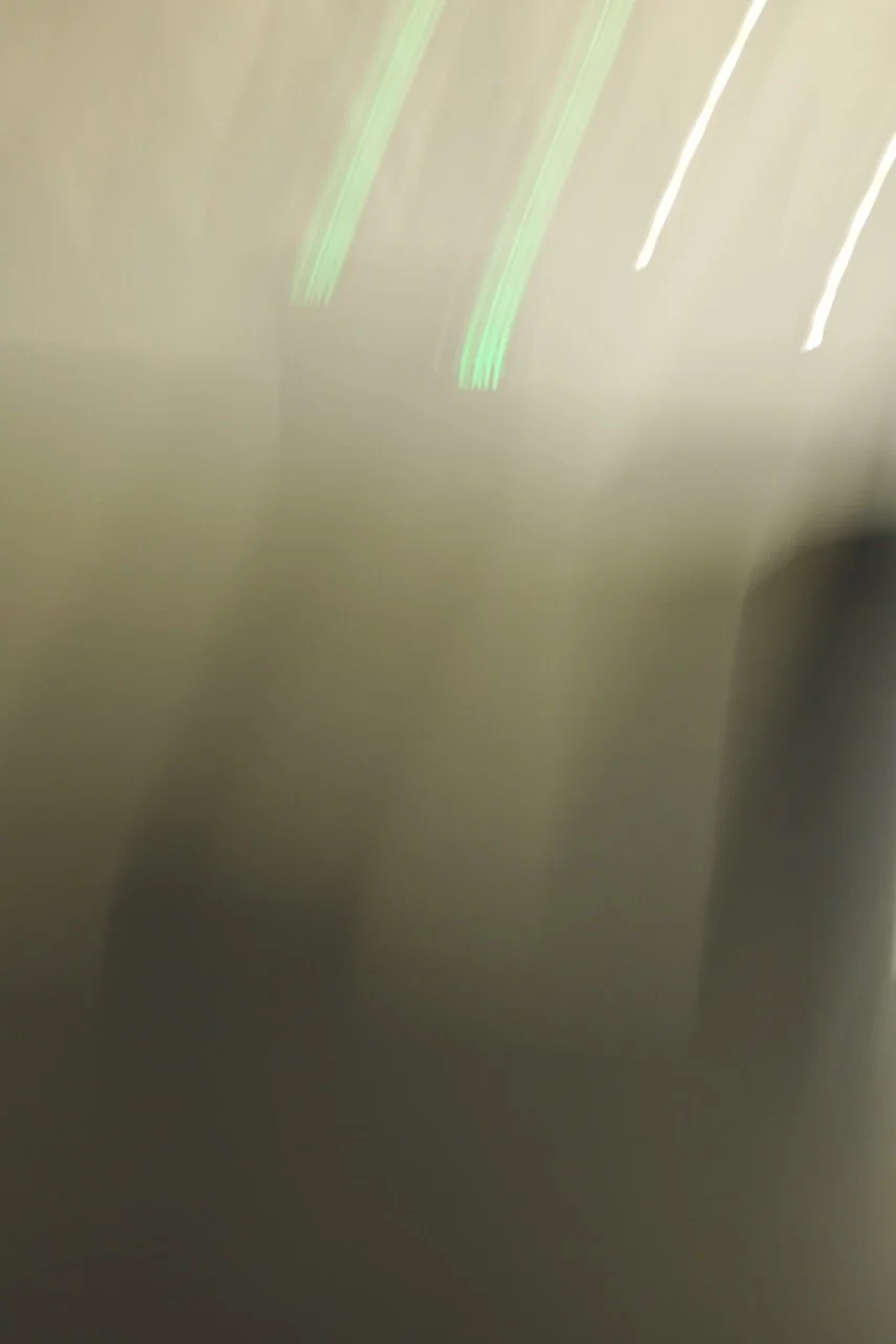  Movement 2024:104 (2024) C-print on wood panel, 60”x40” 