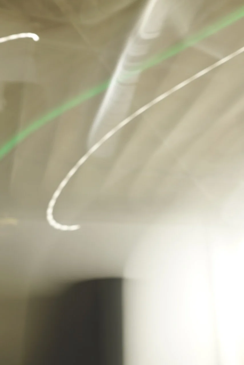  Movement 2024:106 (2024) C-print on wood panel, 60”x40” 