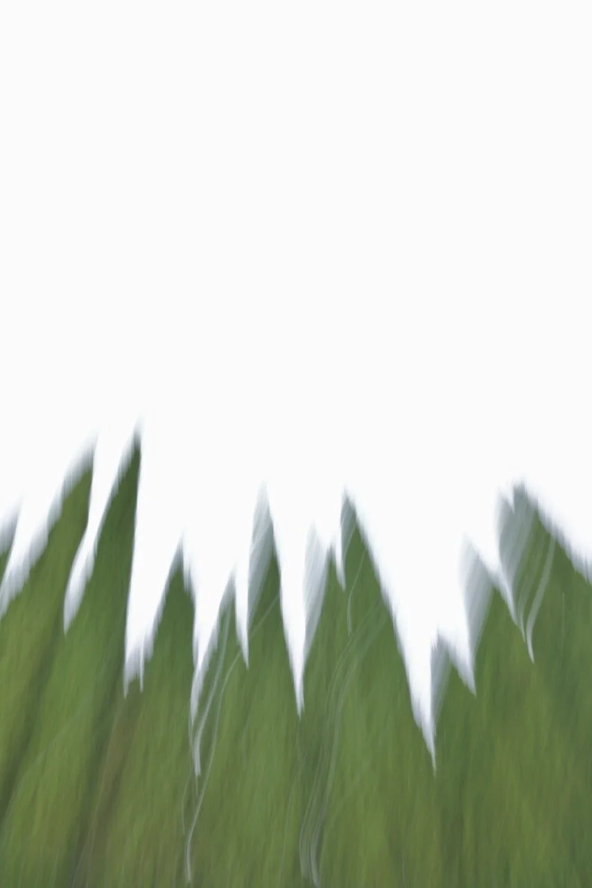  Movement 2024:109 (2024) C-print on wood panel, 60”x40” 