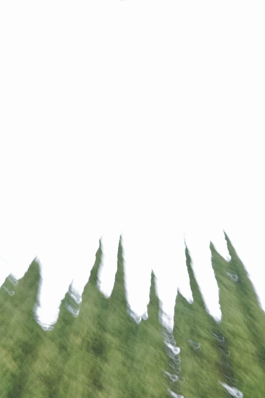  Movement 2024:110 (2024) C-print on wood panel, 60”x40” 