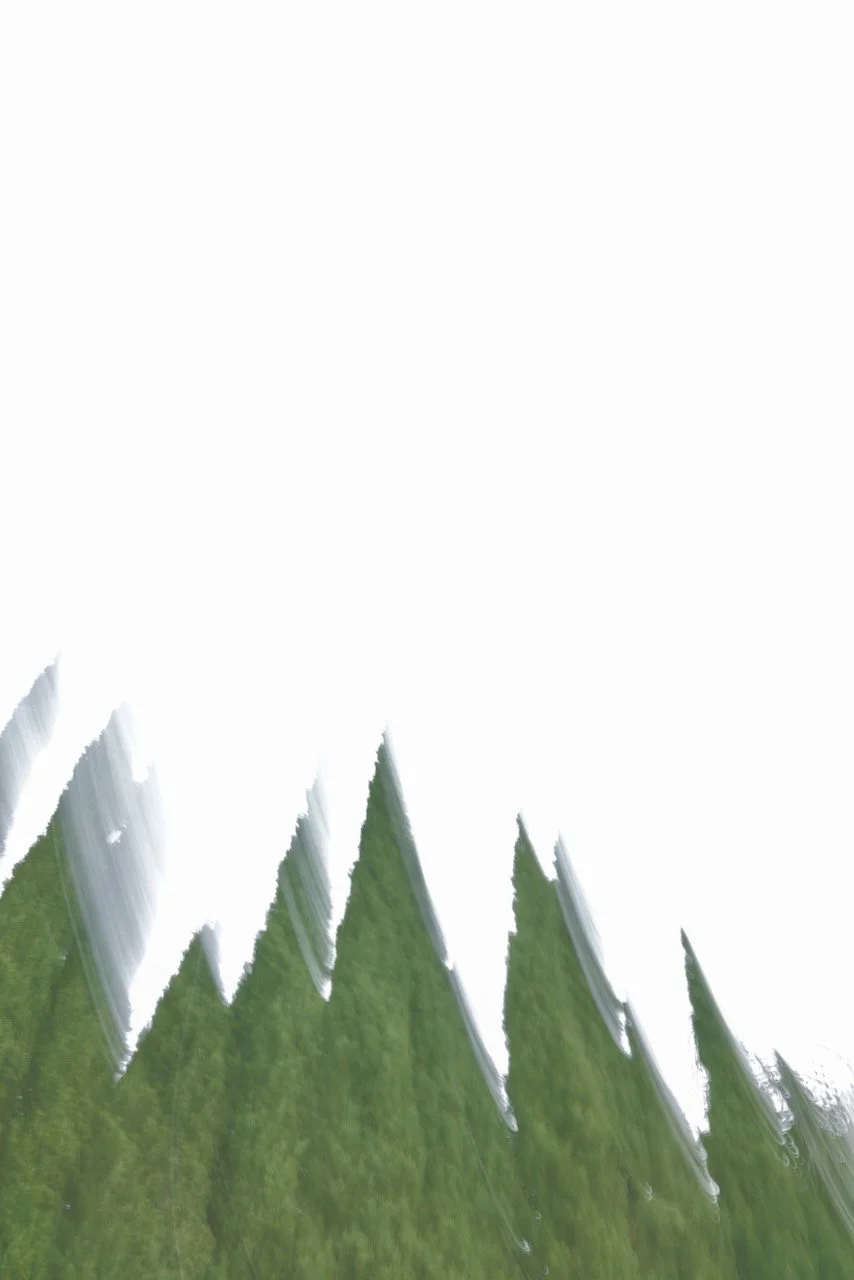  Movement 2024:111 (2024) C-print on wood panel, 60”x40” 